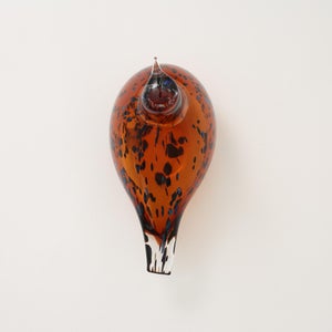 Birds Pekkasiini コッパーブラウン 0262