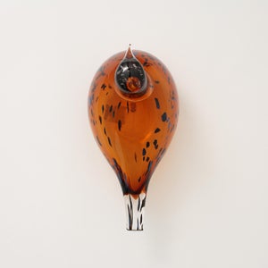 Birds Pekkasiini コッパーブラウン 0263