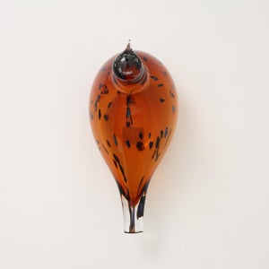 Birds Pekkasiini コッパーブラウン 0267