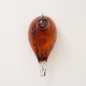 Birds Pekkasiini コッパーブラウン 0268