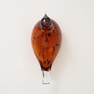 Birds Pekkasiini コッパーブラウン 0269