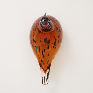 Birds Pekkasiini コッパーブラウン 0270