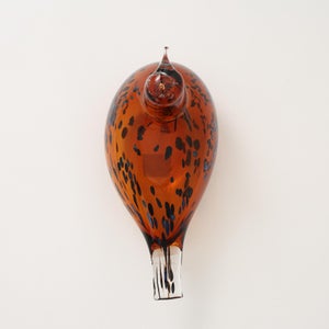 Birds Pekkasiini コッパーブラウン 0271