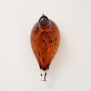 Birds Pekkasiini コッパーブラウン 0272