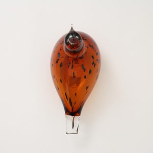 Birds Pekkasiini コッパーブラウン 0273