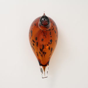 Birds Pekkasiini コッパーブラウン 0274