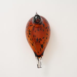 Birds Pekkasiini コッパーブラウン 0275