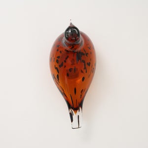 Birds Pekkasiini コッパーブラウン 0276