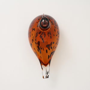 Birds Pekkasiini コッパーブラウン 0278