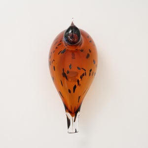 Birds Pekkasiini コッパーブラウン 0280