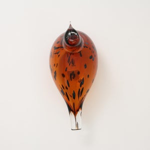 Birds Pekkasiini コッパーブラウン 0281