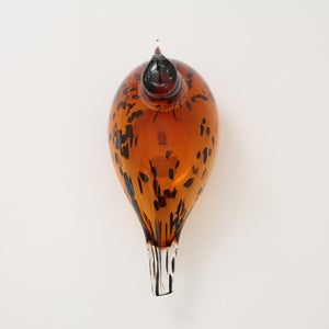 Birds Pekkasiini コッパーブラウン 0283