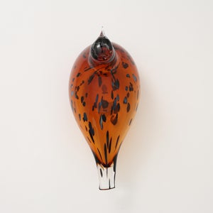 Birds Pekkasiini コッパーブラウン 0285