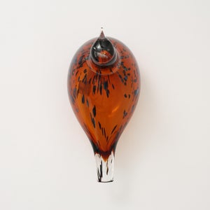 Birds Pekkasiini コッパーブラウン 0289