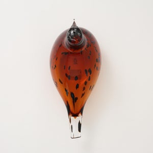 Birds Pekkasiini コッパーブラウン 0290