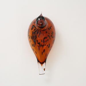 Birds Pekkasiini コッパーブラウン 0291