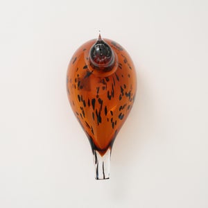 Birds Pekkasiini コッパーブラウン 0292