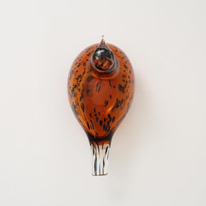 Birds Pekkasiini コッパーブラウン 0293