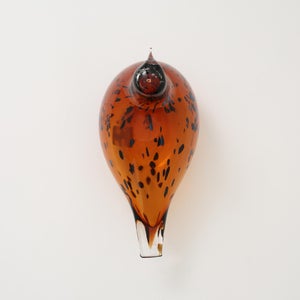 Birds Pekkasiini コッパーブラウン 0295