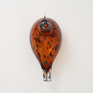 Birds Pekkasiini コッパーブラウン 0296