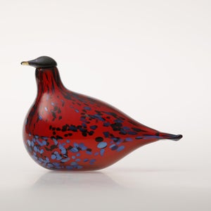 Birds Ruby Bird クランベリー 0172