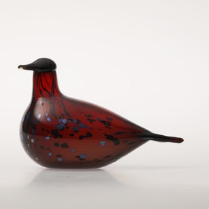 Birds Ruby Bird クランベリー 0173