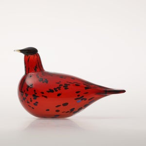 Birds Ruby Bird クランベリー 0174