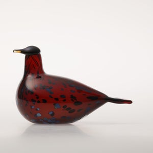 Birds Ruby Bird クランベリー 0175