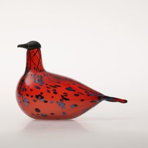 Birds Ruby Bird クランベリー 0176