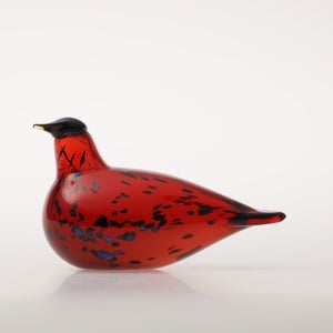 Birds Ruby Bird クランベリー 0177