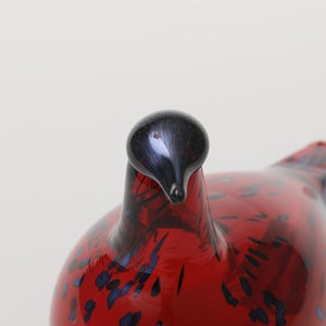 Birds Ruby Bird クランベリー 0176