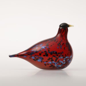 Birds Ruby Bird クランベリー 0172