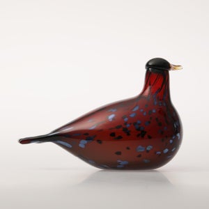 Birds Ruby Bird クランベリー 0173