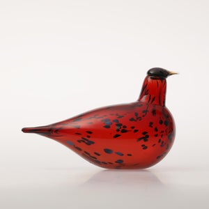 Birds Ruby Bird クランベリー 0174