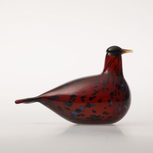 Birds Ruby Bird クランベリー 0175