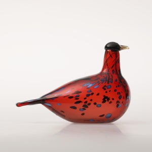 Birds Ruby Bird クランベリー 0176