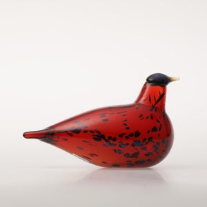 Birds Ruby Bird クランベリー 0177