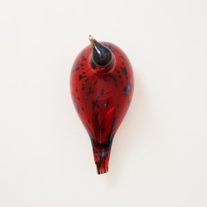 Birds Ruby Bird クランベリー 0176