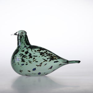 Birds Reed Warbler パイングリーン 0004