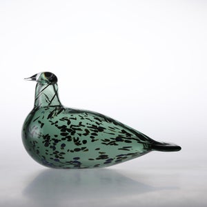 Birds Reed Warbler パイングリーン 0009