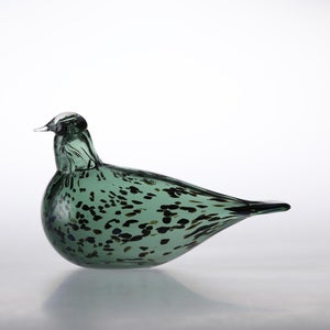 Birds Reed Warbler パイングリーン 0011