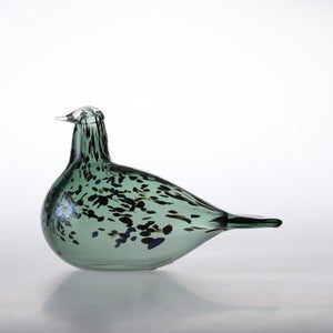 Birds Reed Warbler パイングリーン 0023