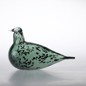 Birds Reed Warbler パイングリーン 0024