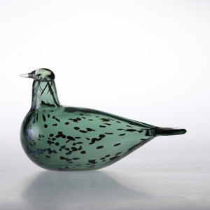 Birds Reed Warbler パイングリーン 0025