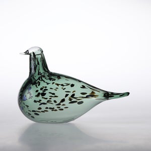 Birds Reed Warbler パイングリーン 0027