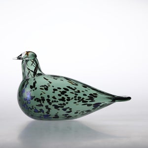 Birds Reed Warbler パイングリーン 0028