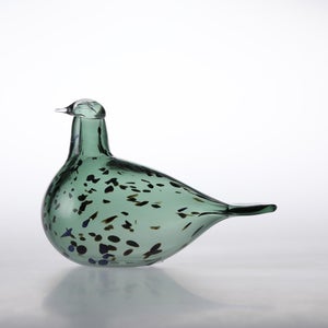 Birds Reed Warbler パイングリーン 0030