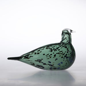 Birds Reed Warbler パイングリーン 0001