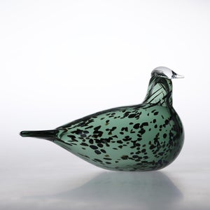 Birds Reed Warbler パイングリーン 0006