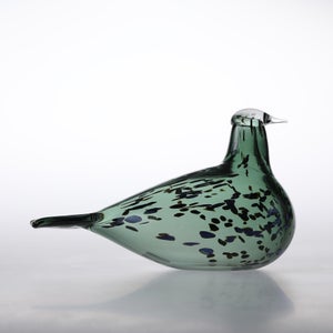 Birds Reed Warbler パイングリーン 0007